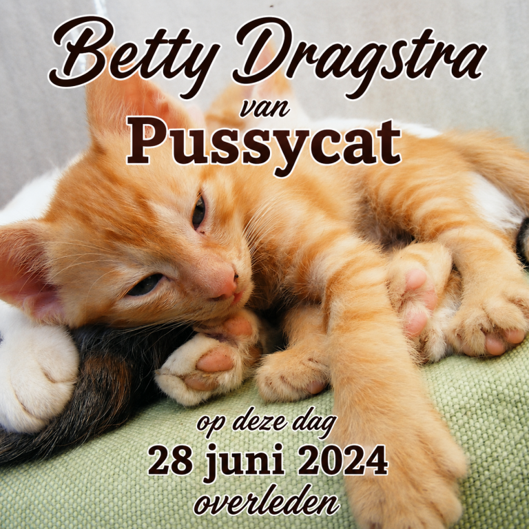 Betty Dragstra: de warme stem achter het succes van Pussycat