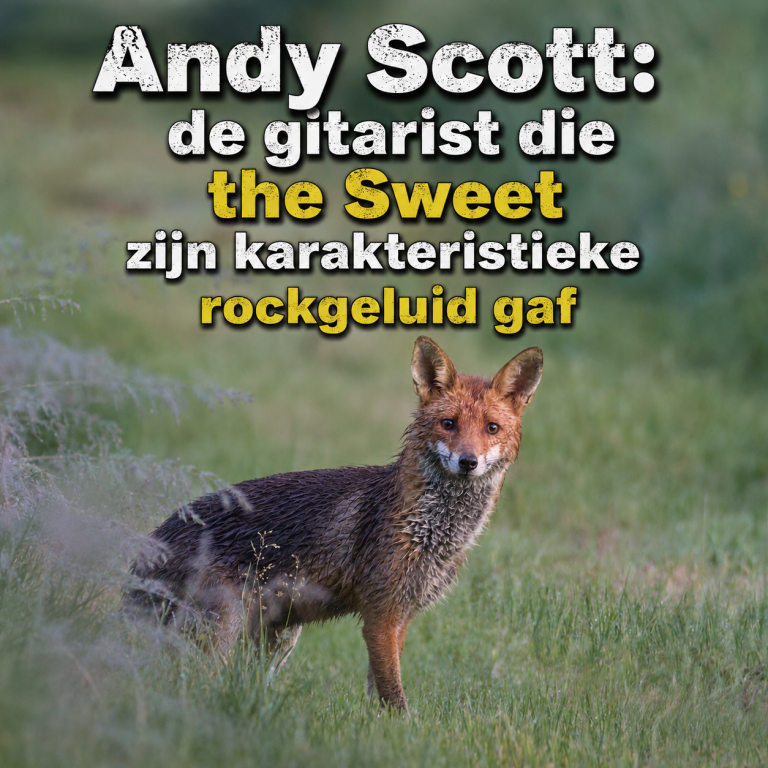 Andy Scott: de gitarist die the Sweet zijn karakteristieke rockgeluid gaf